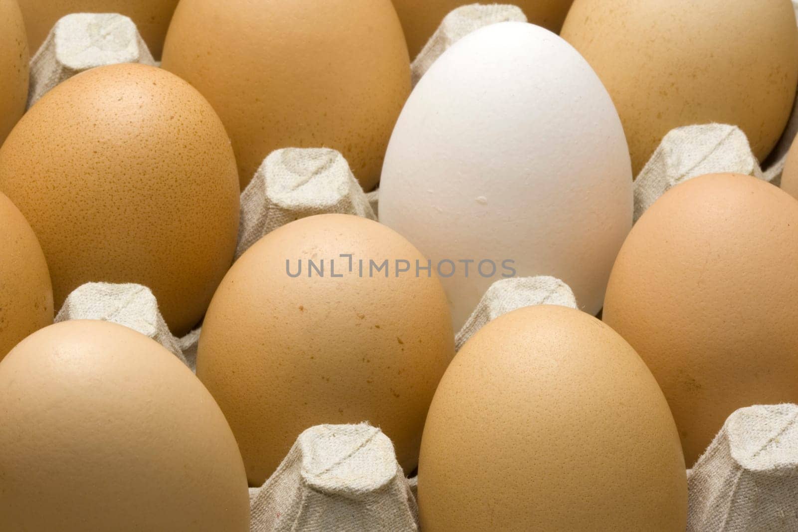 Eggs