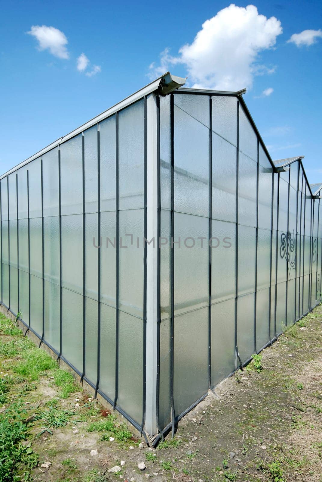 Greenhouse