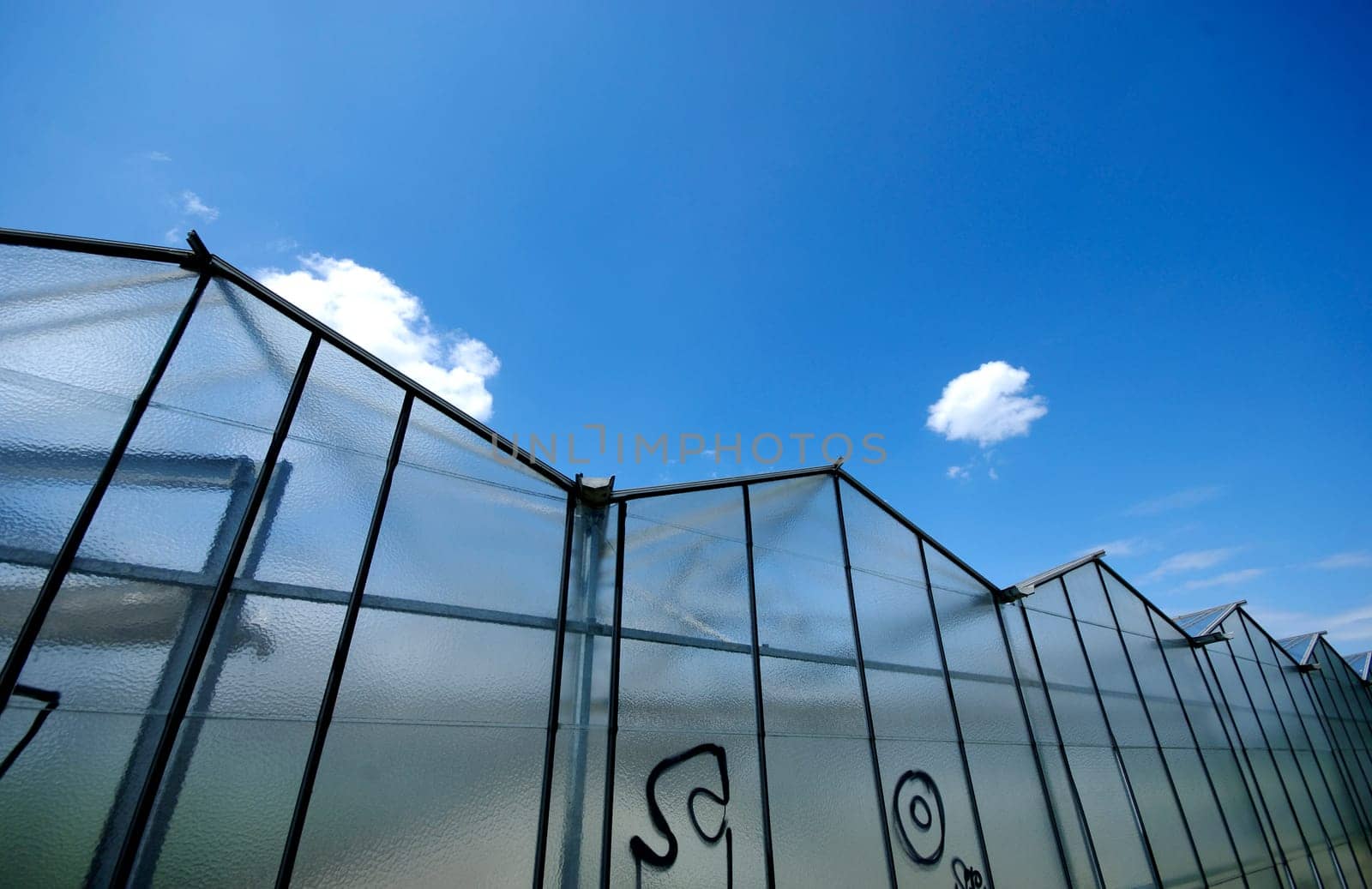 Greenhouse