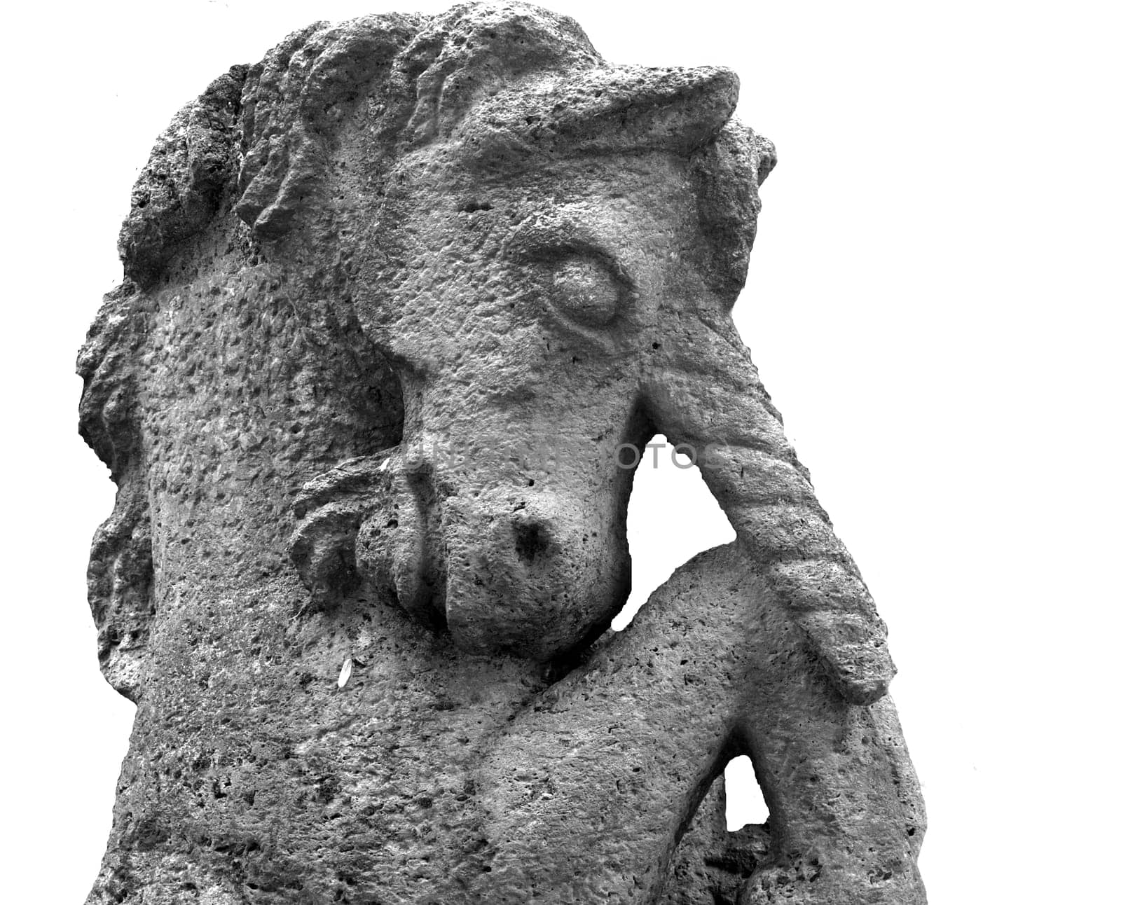 Unicorn