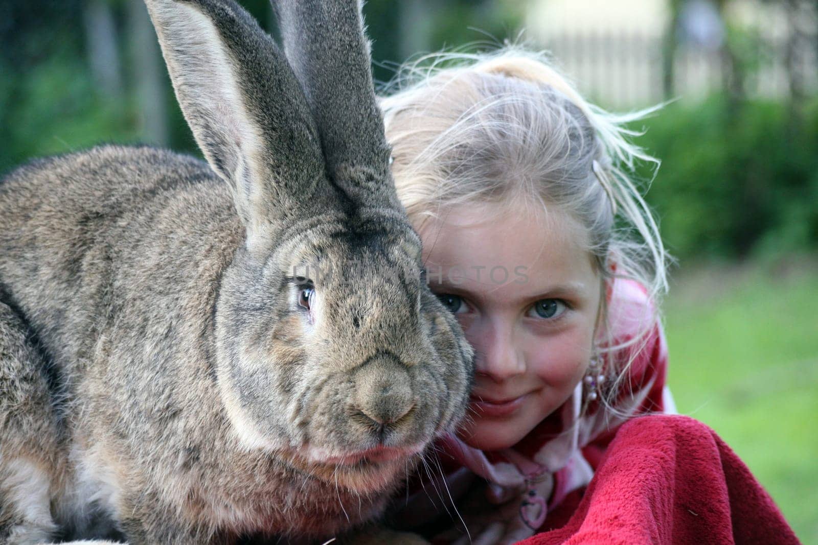 Cuddly Bunny