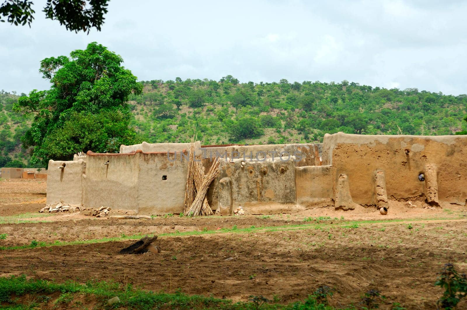 Typical African mud buildings in the province of Nahouri,southern Burkina Faso
