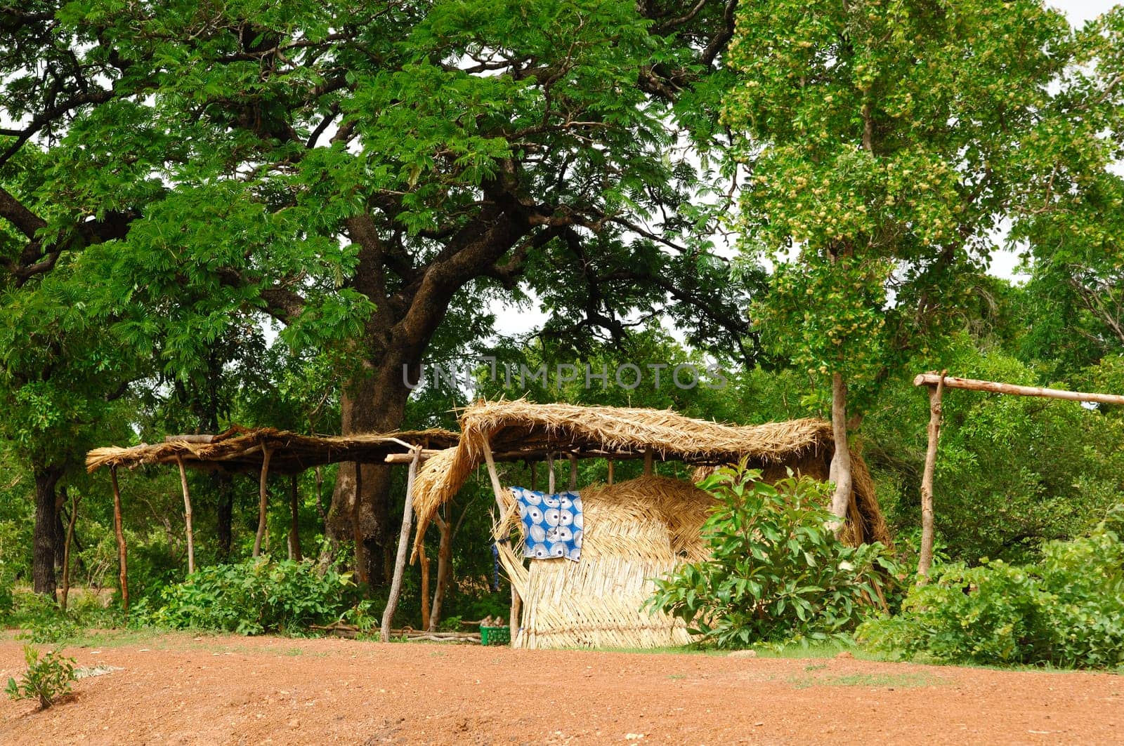 Simple shelter in Kaboré Tambi National Park,Burkina Faso