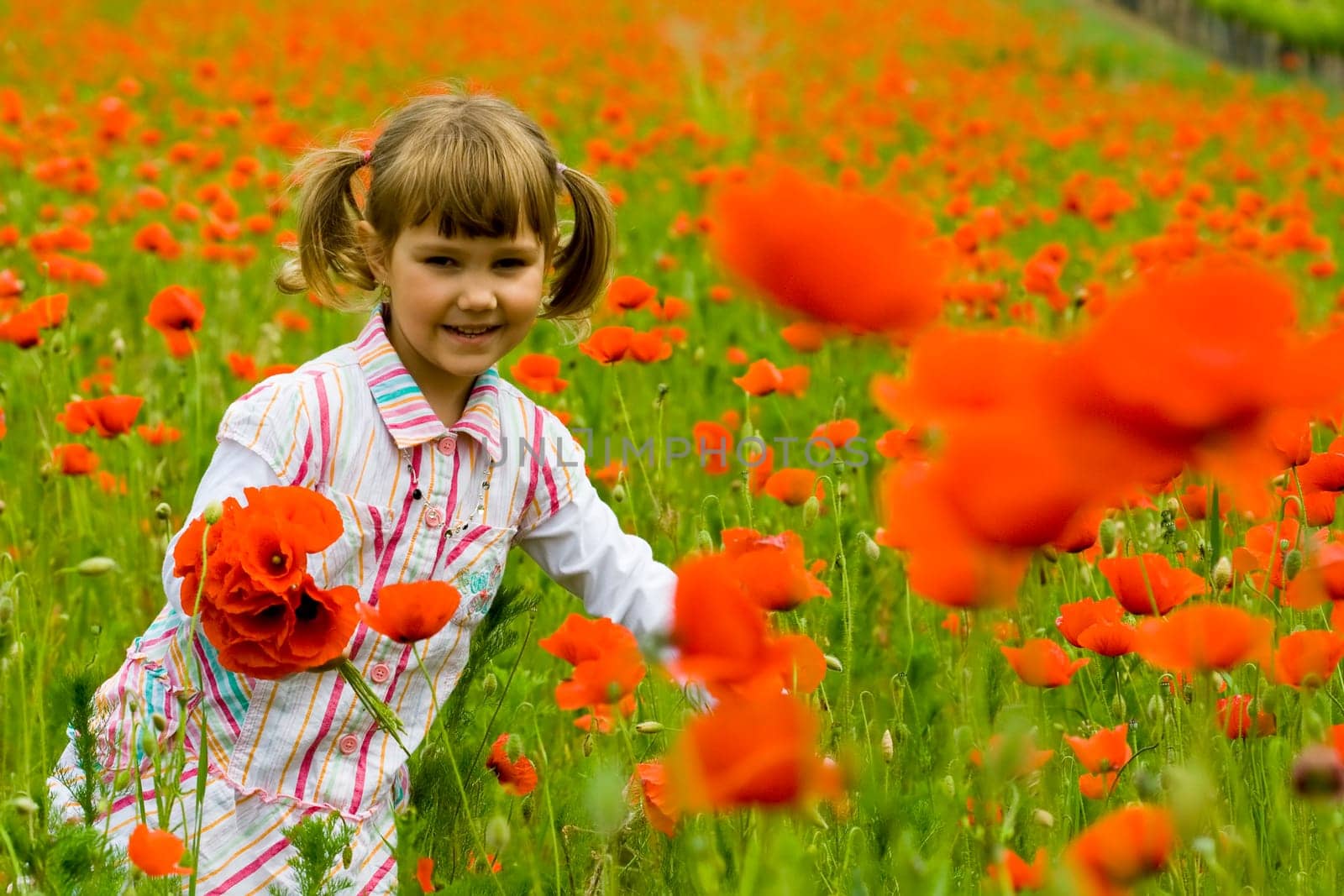 Girl on meadow with a red poppies