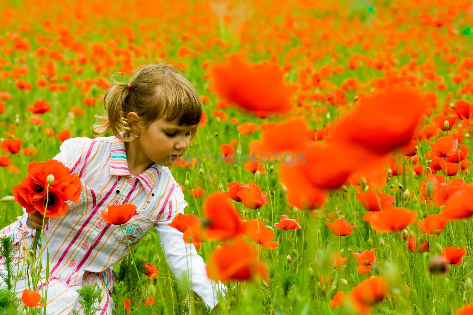 Girl on meadow with a red poppies