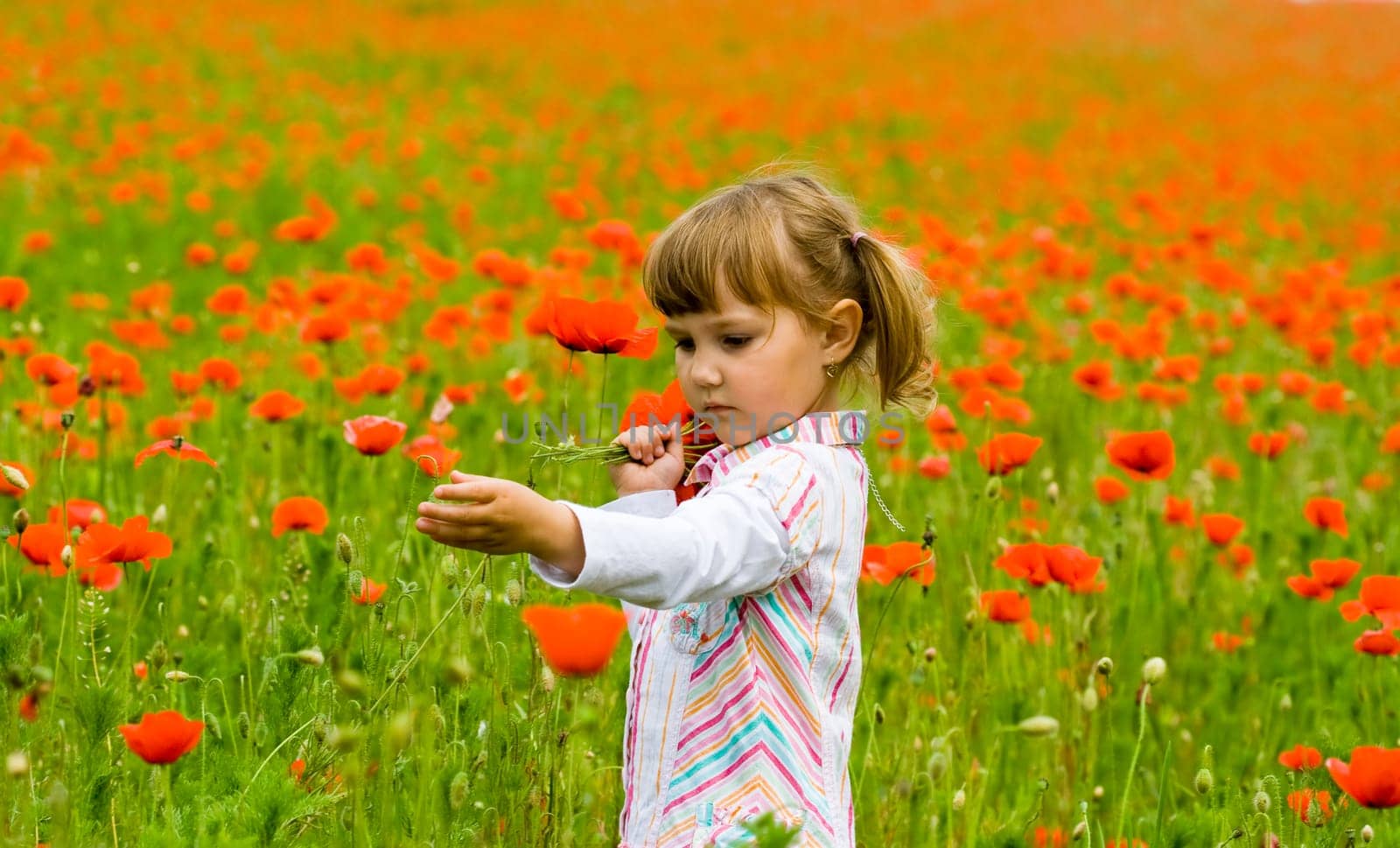 Girl on meadow with a red poppies