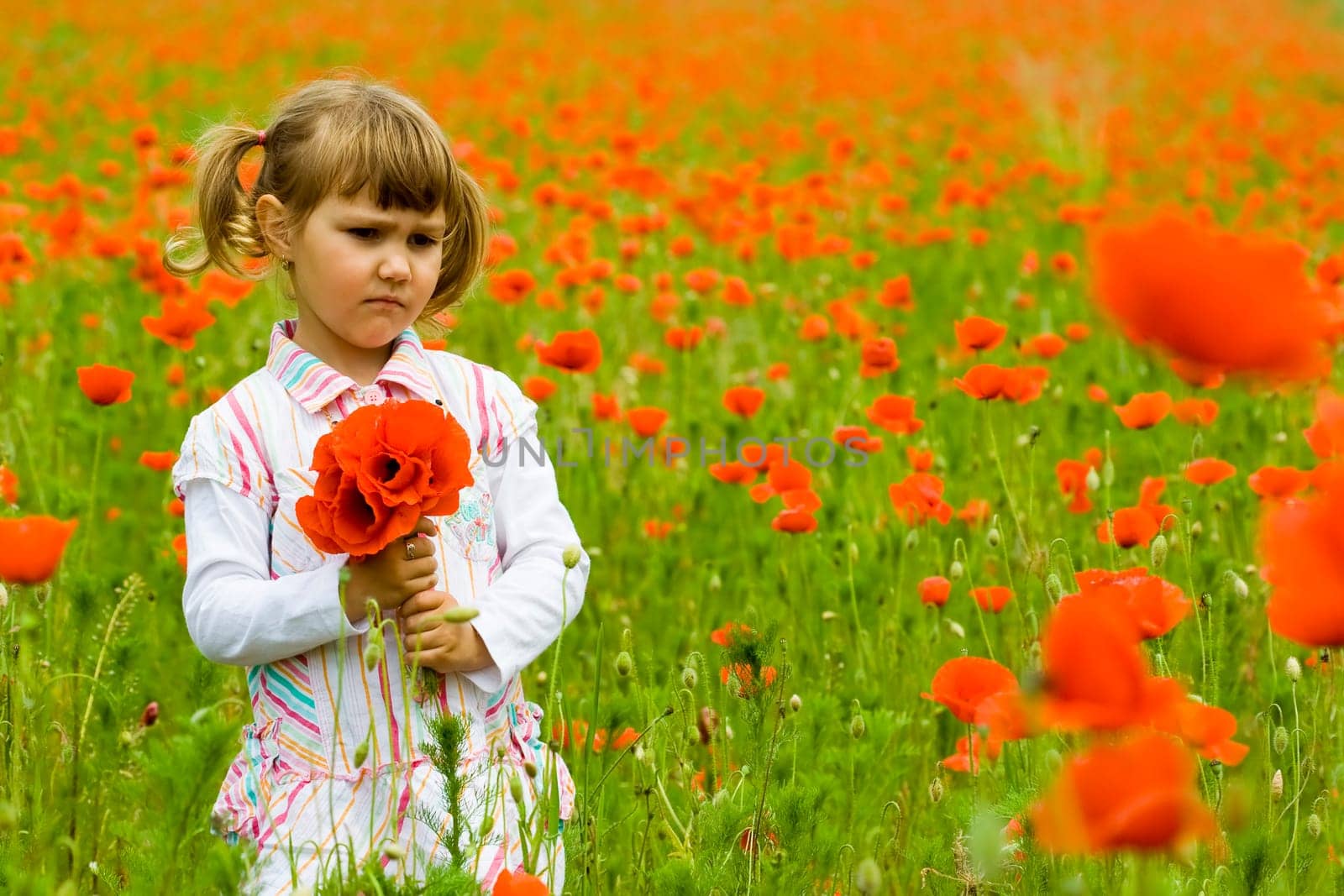Girl on meadow with a red poppies