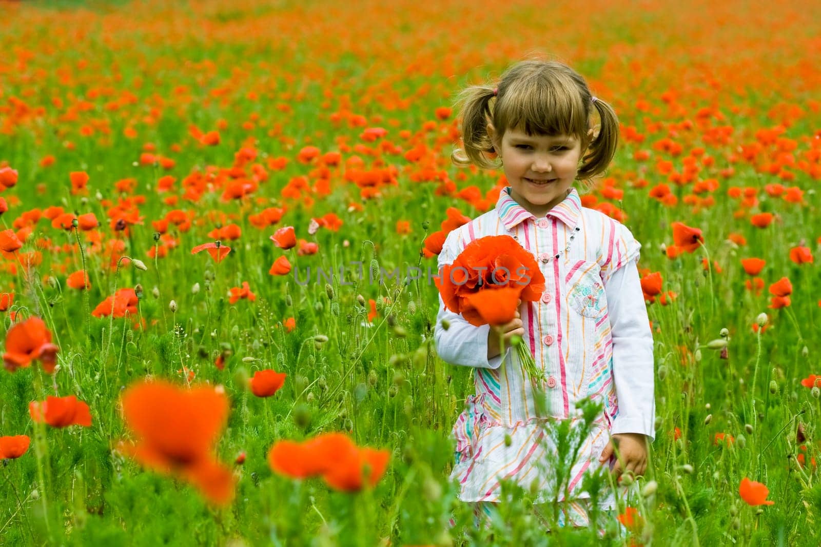 Girl on meadow with a red poppies