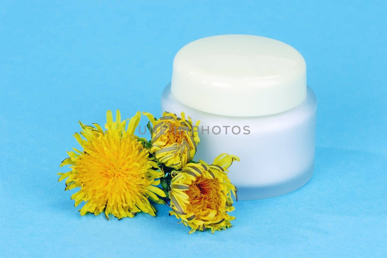 cream or (cream sun) or (cream wellness)) without ice with whipped without cheese
