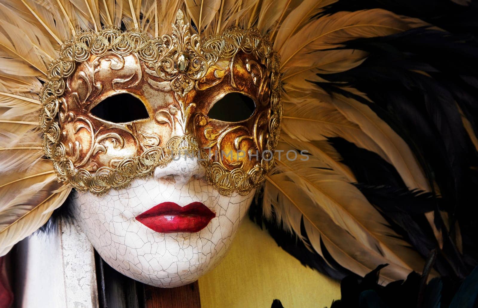 Venetian Carnival Mask