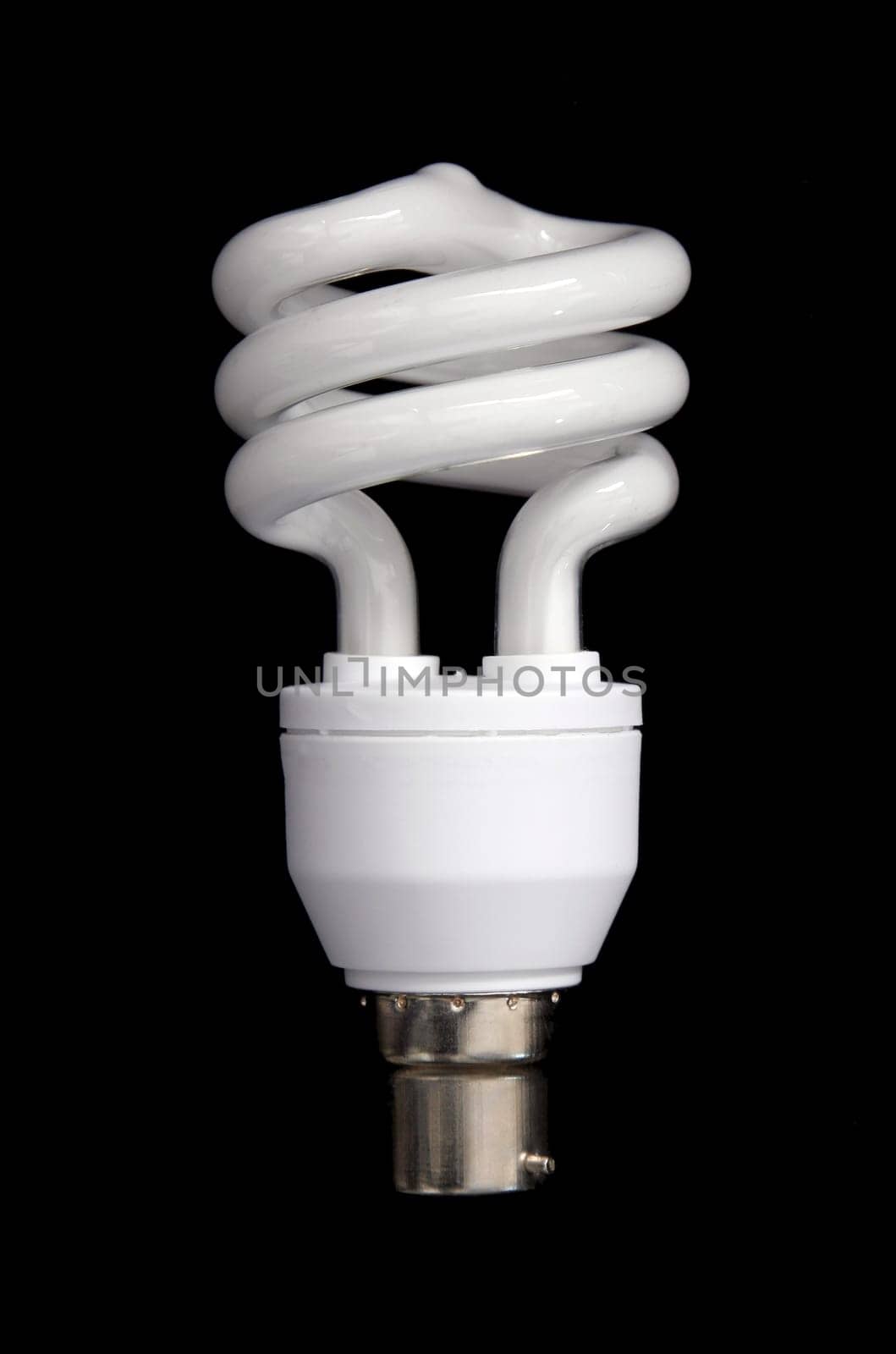 Light Bulb