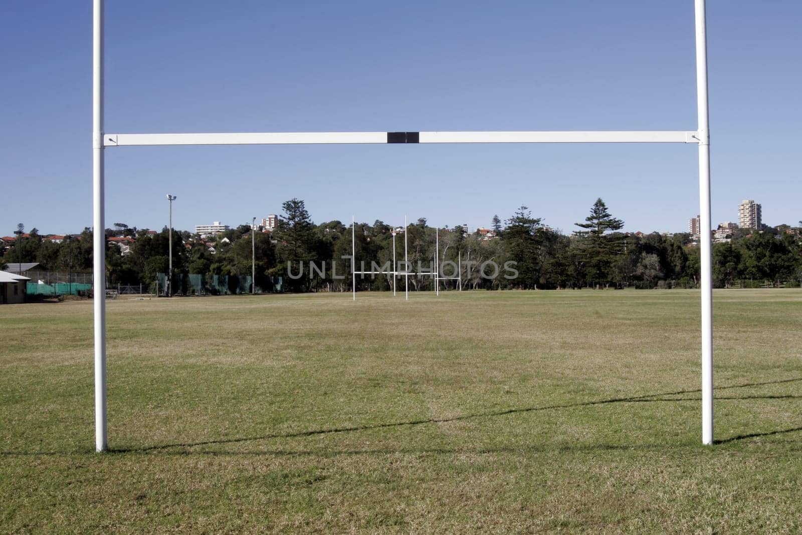 Rugby Field - Goal