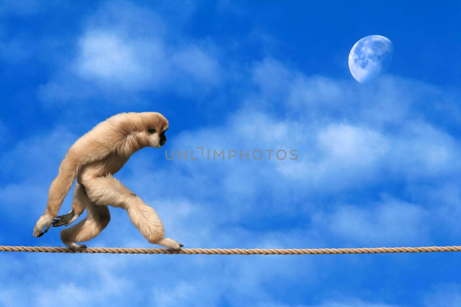 Moonstruck -1-