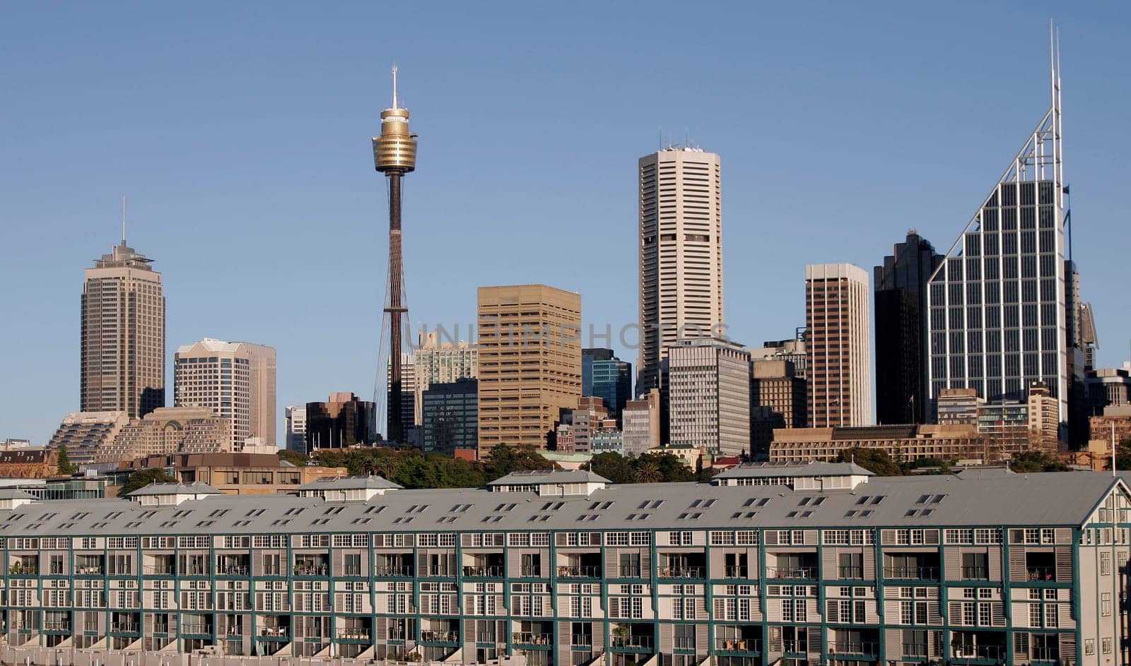 Sydney Skyline