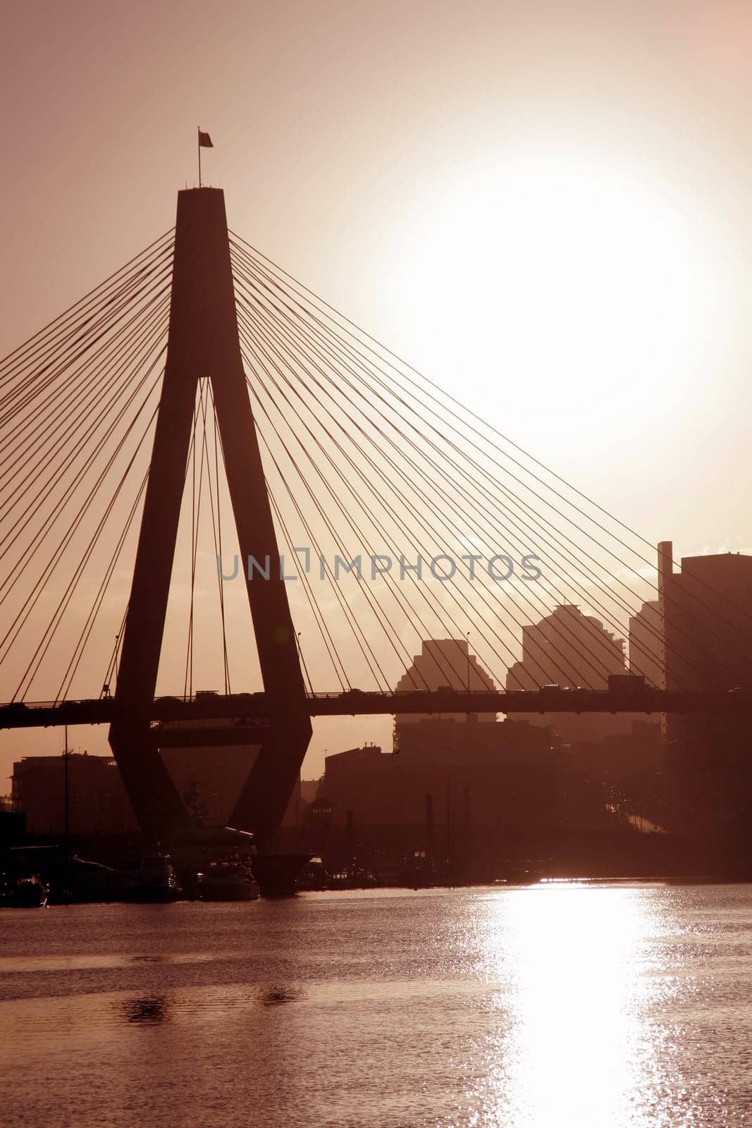 Anzac Bridge In Evening Light