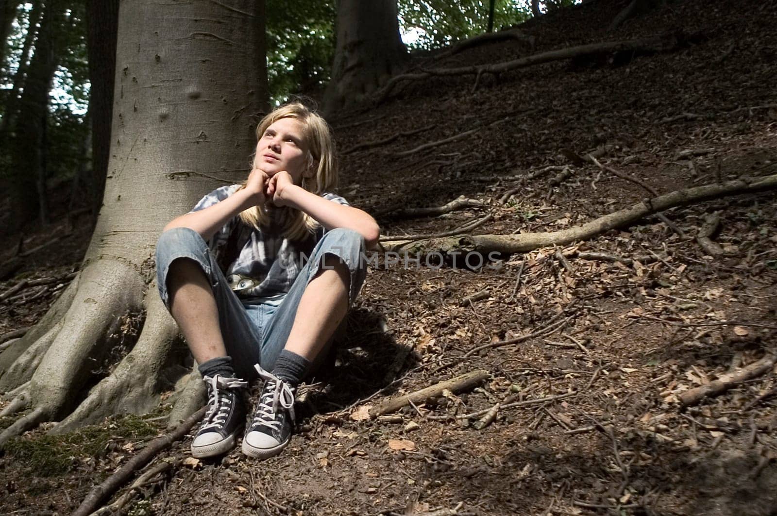there are no robbers in the forest...