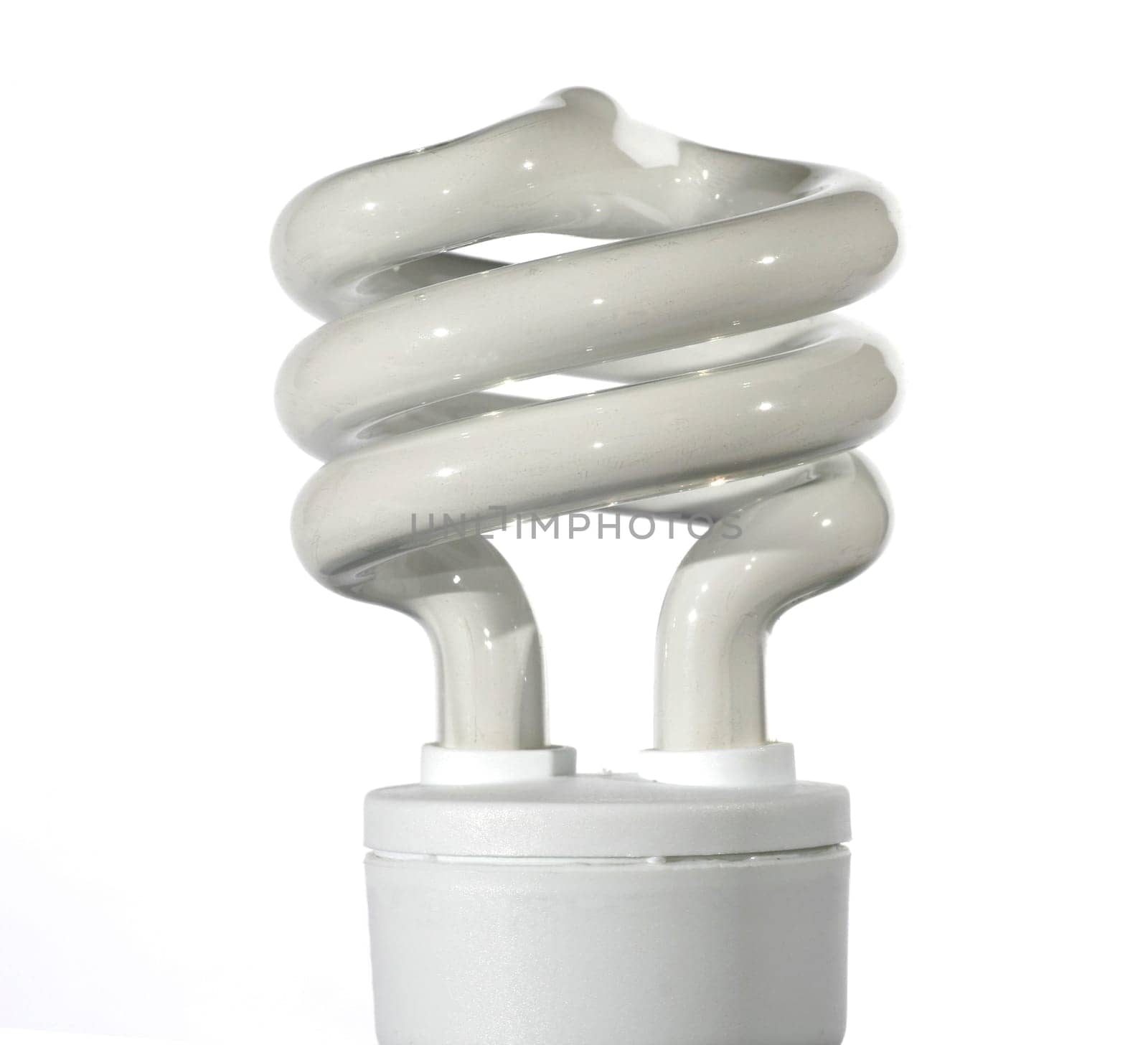 Light Bulb