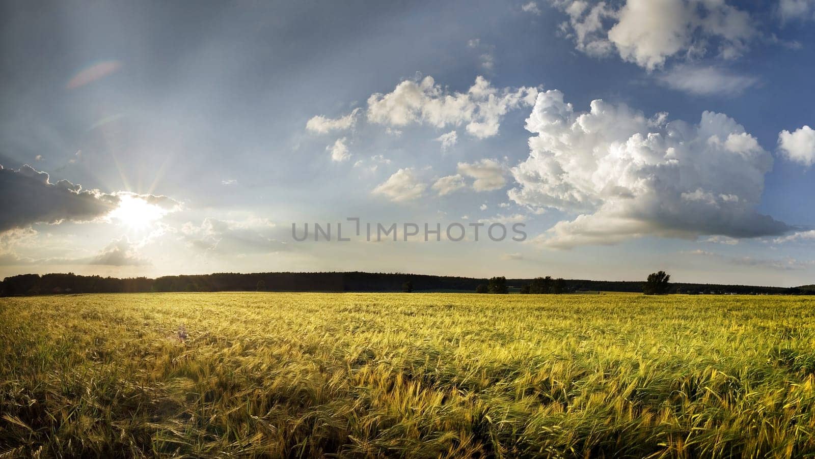 summerligth
