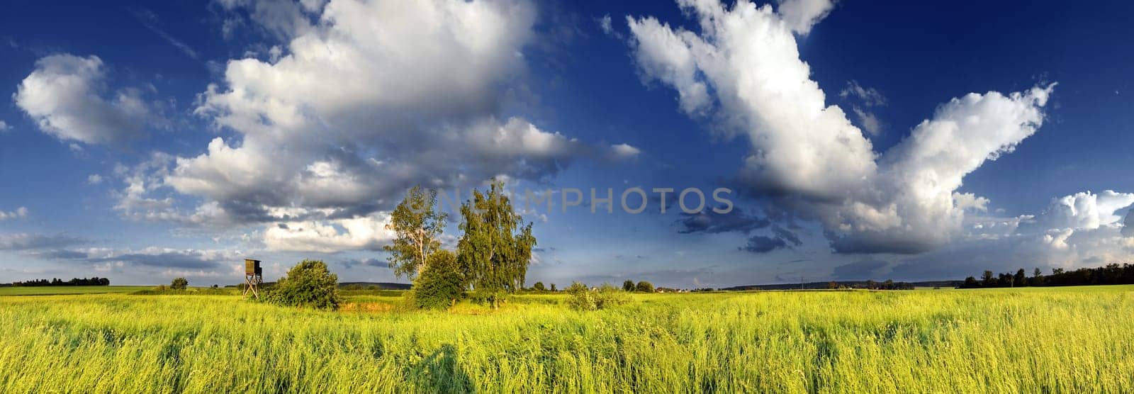 Nature 1