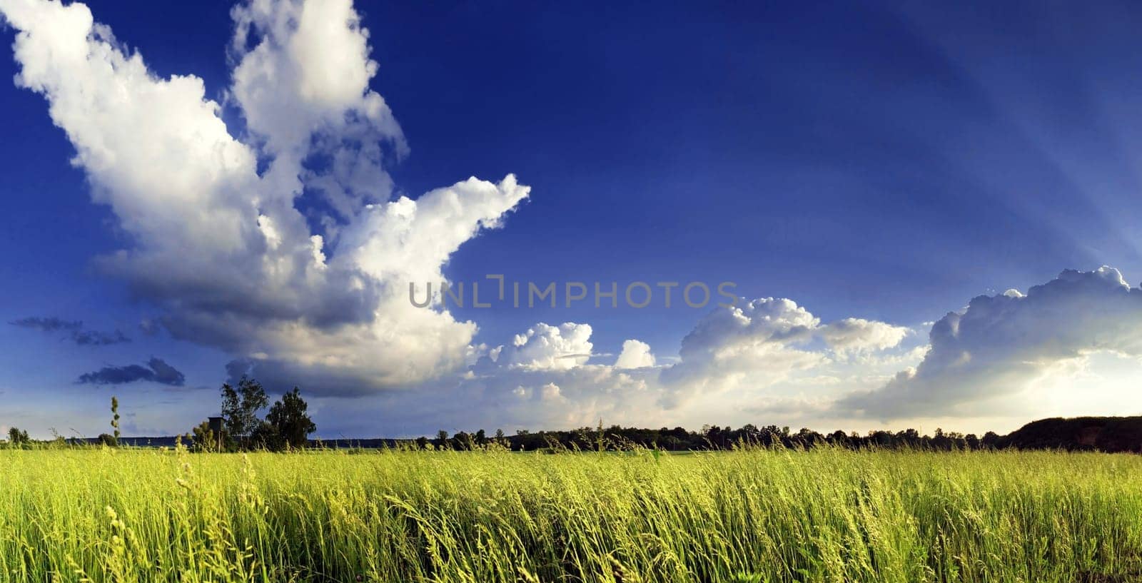Nature 2