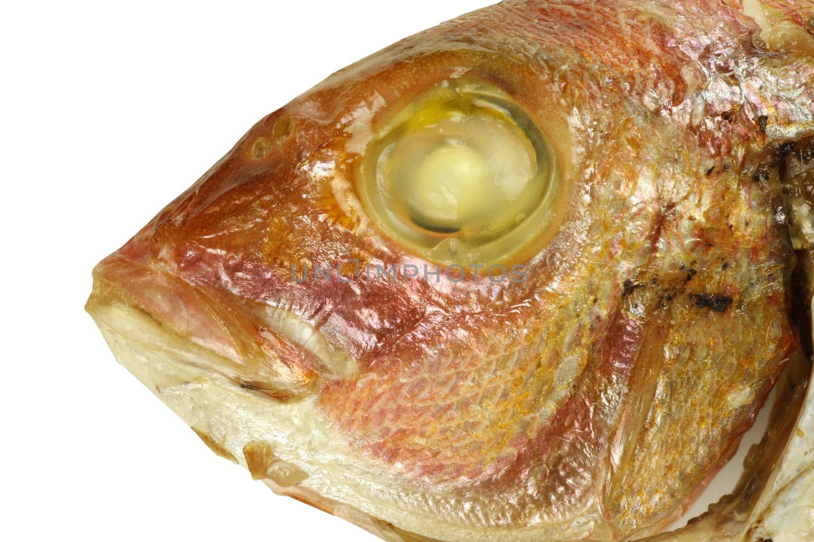 Grilled fish head