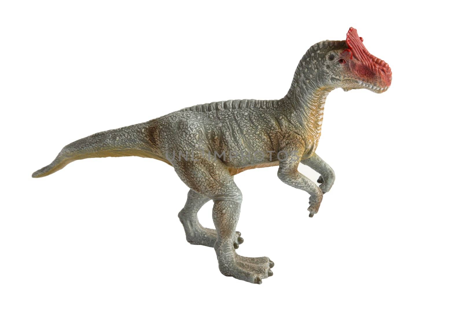 dinosaur