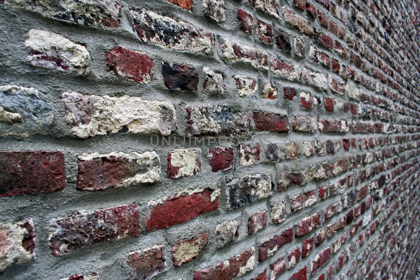 dynamic wall