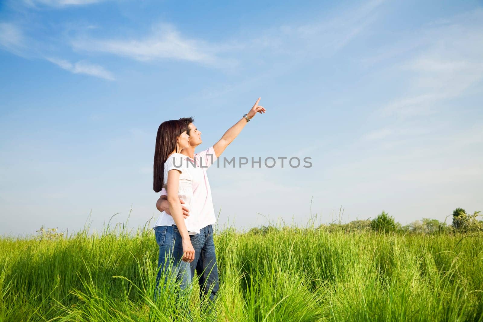 meadow