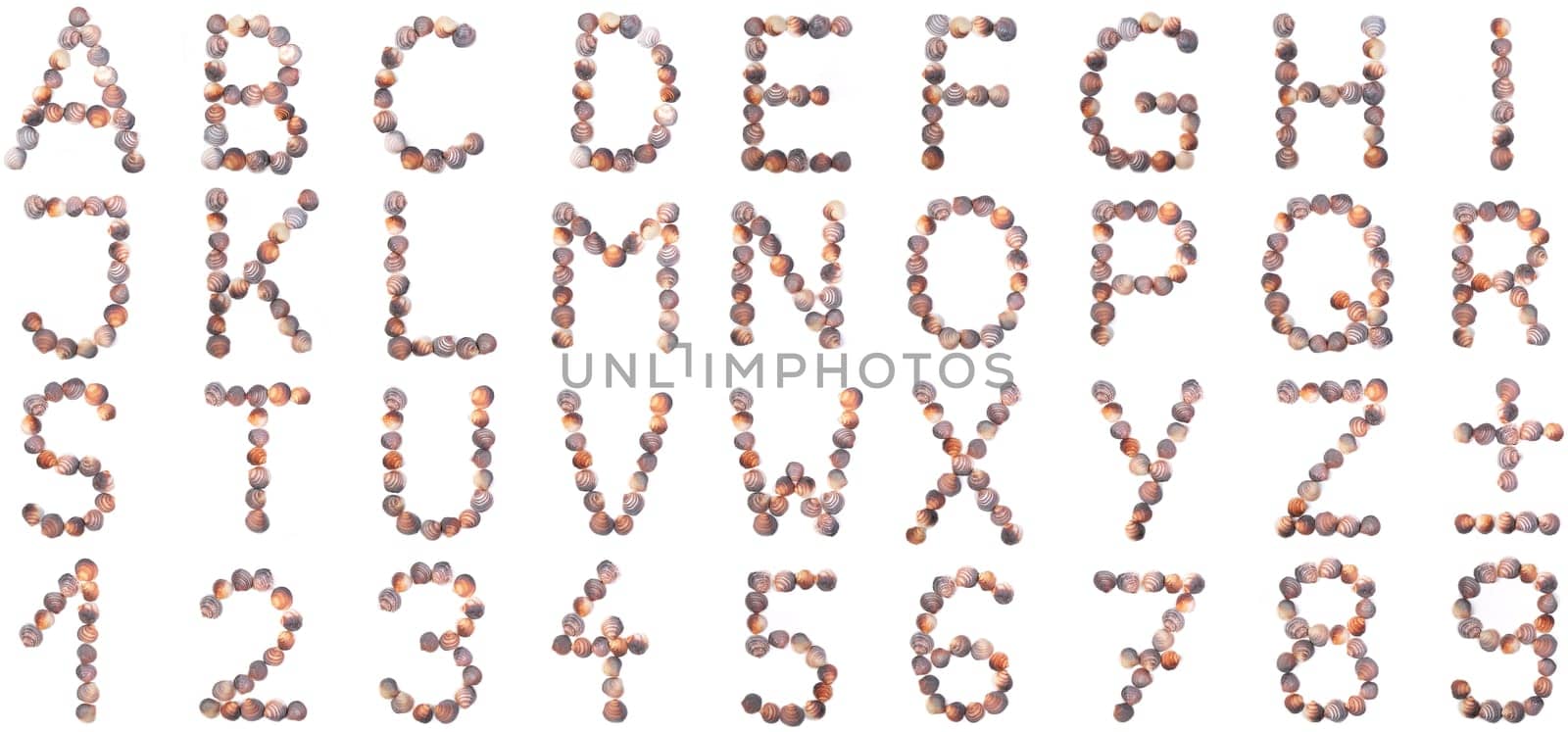 Seashell Alphabet