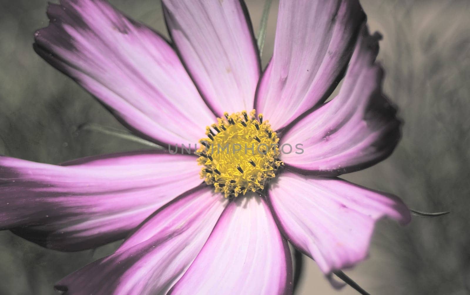 color my soul...