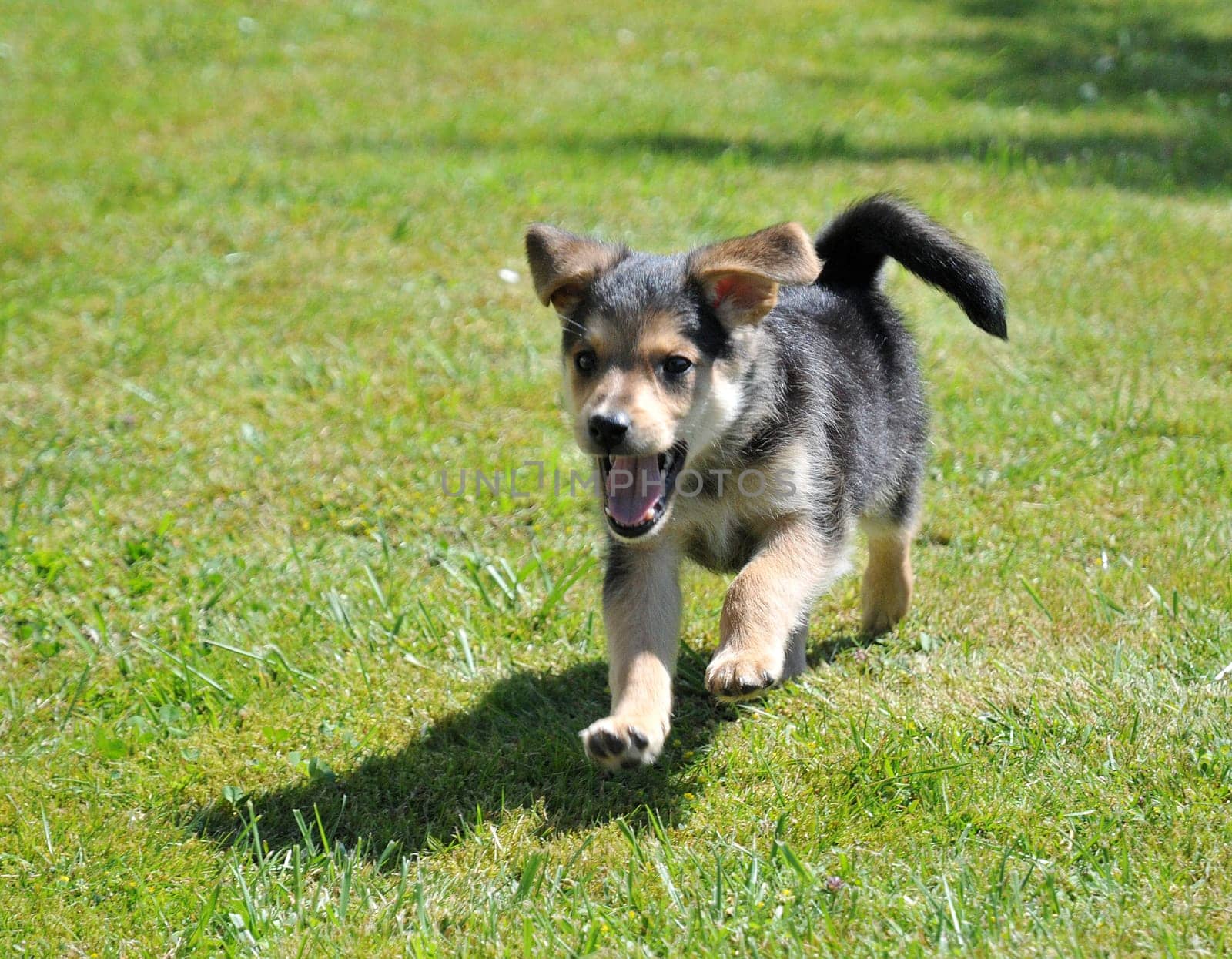 Fun in the garden...
