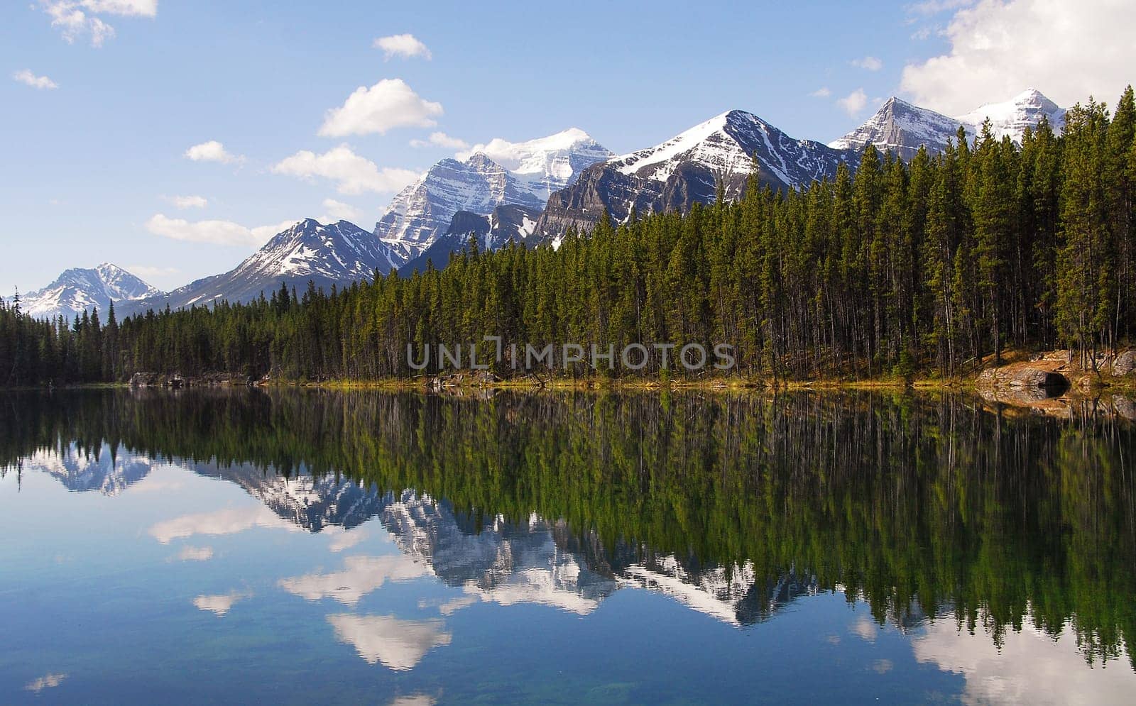 In the Rockies