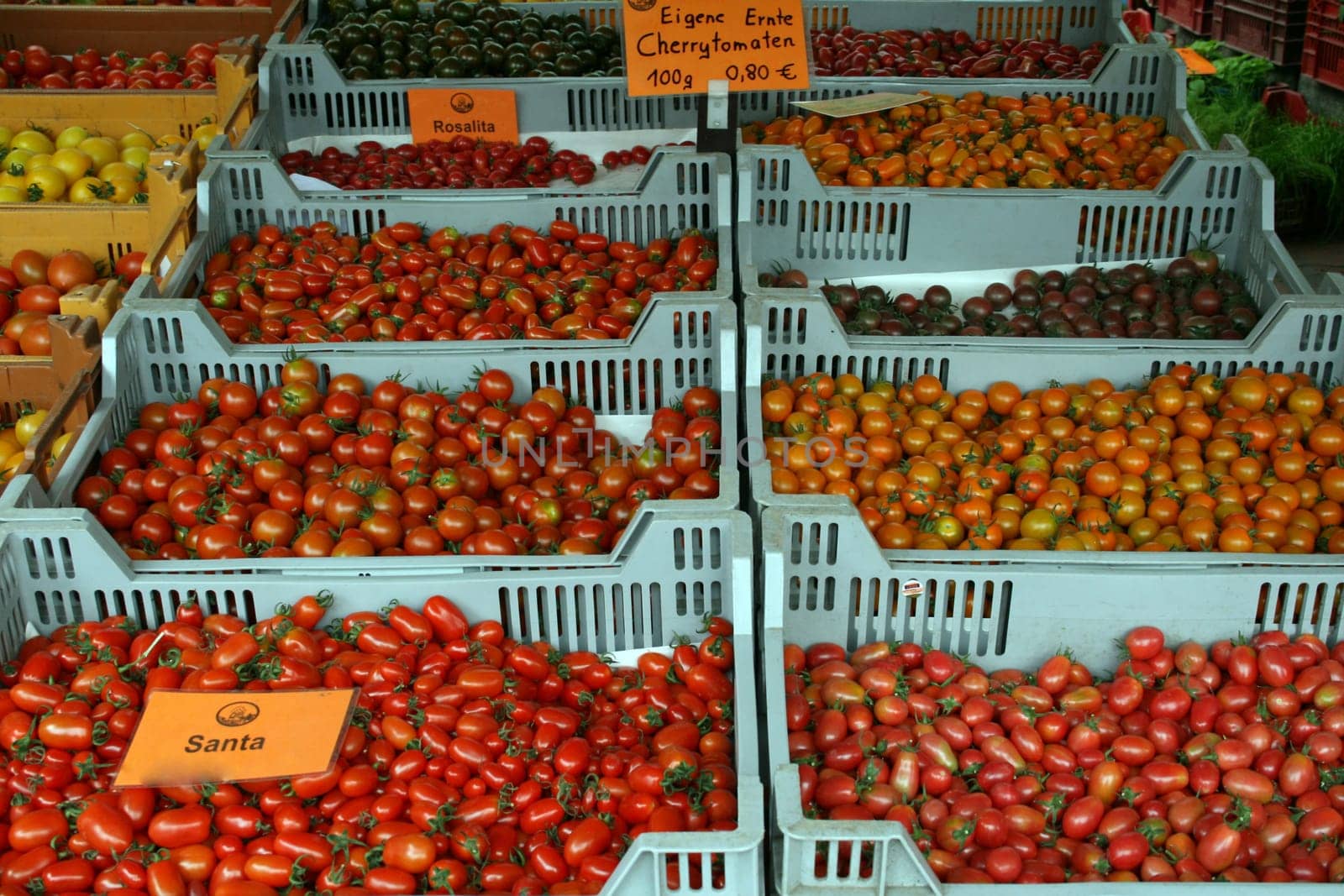Tomatoes