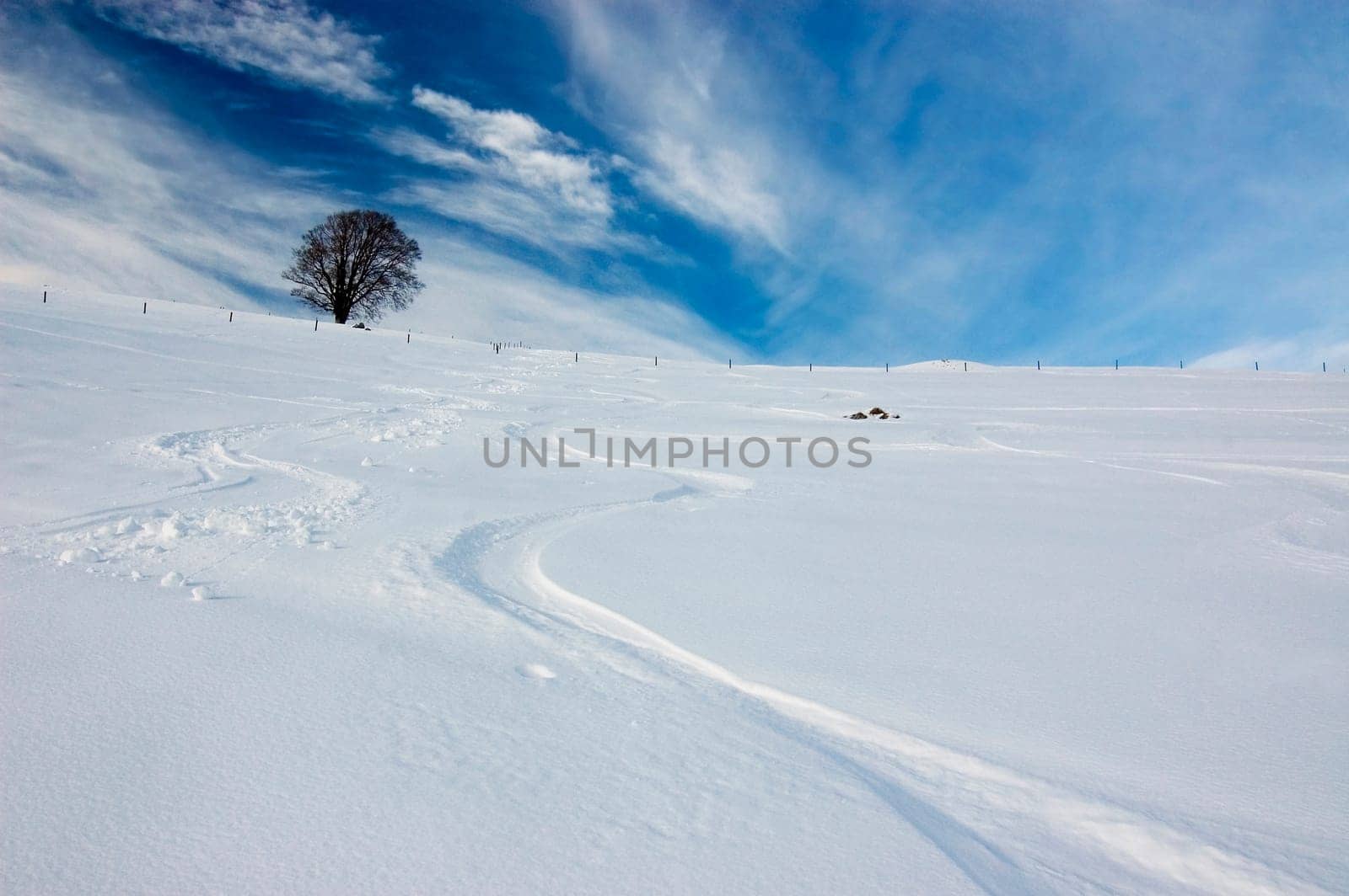 Winter 2