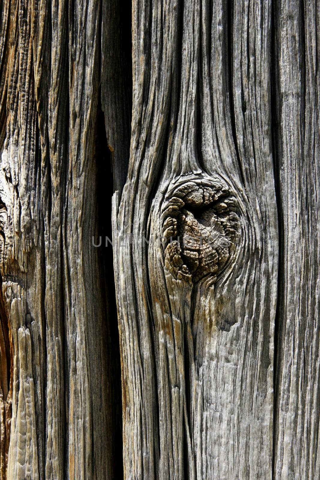 weathered wood grain