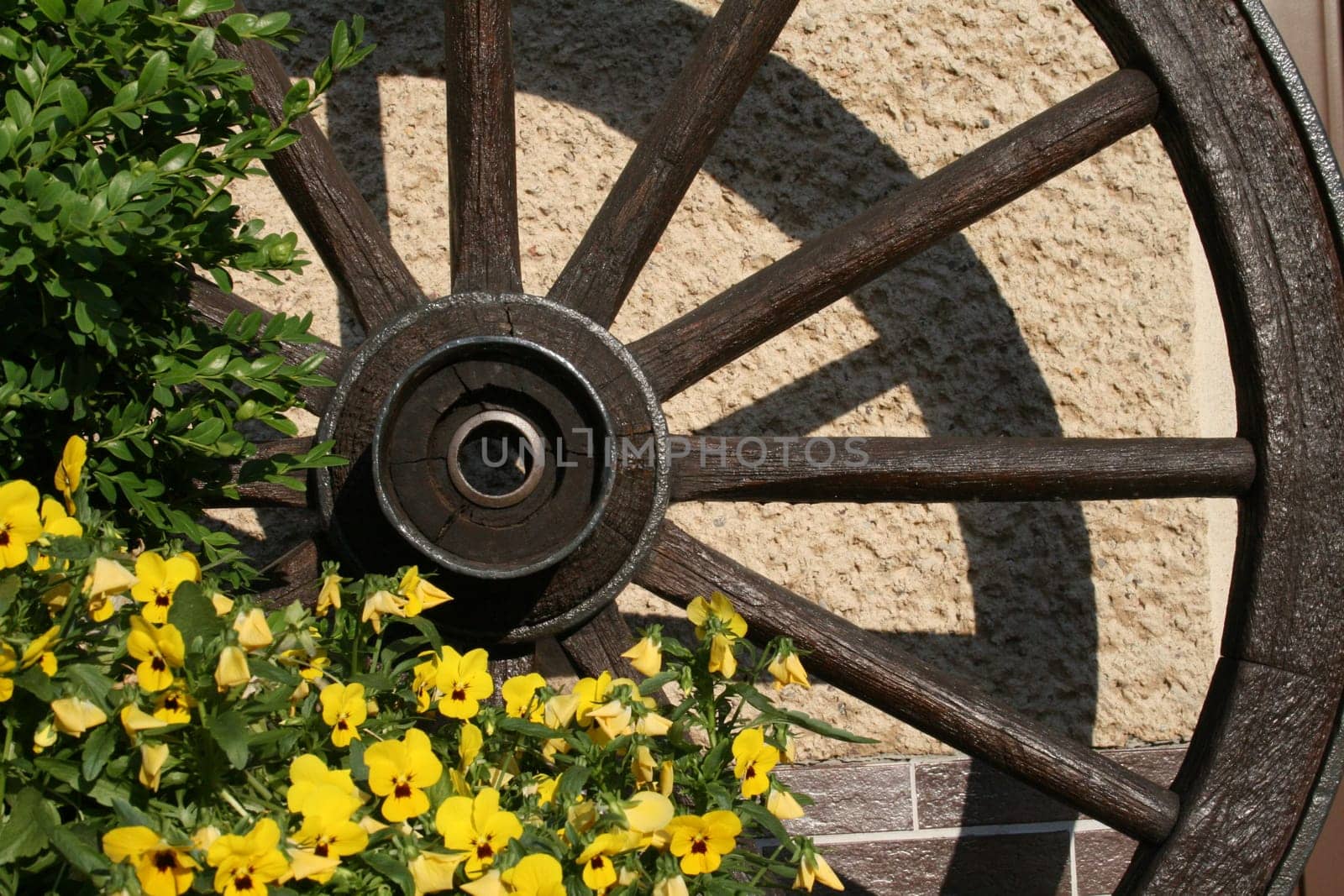 Wooden Wheel