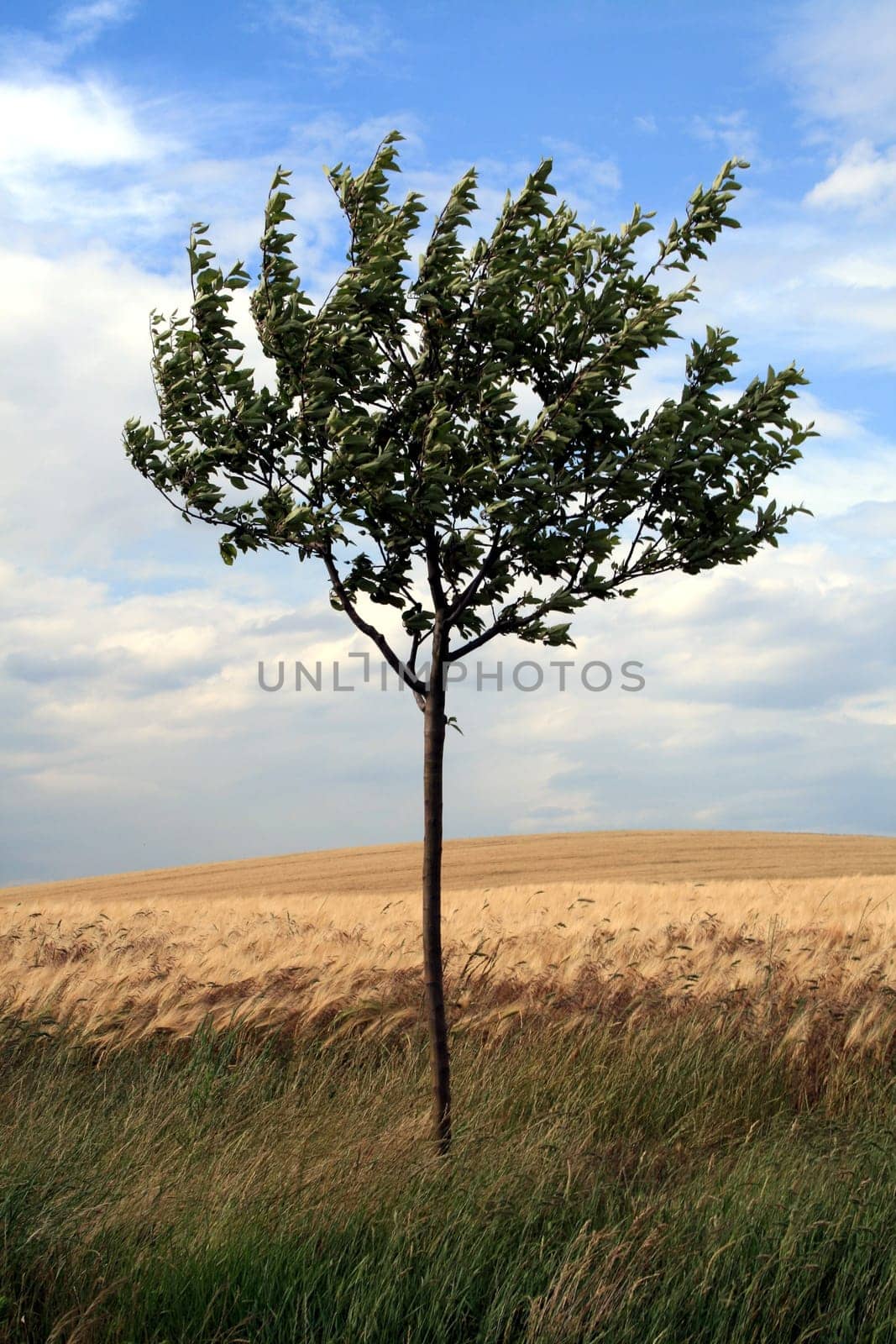 alone
