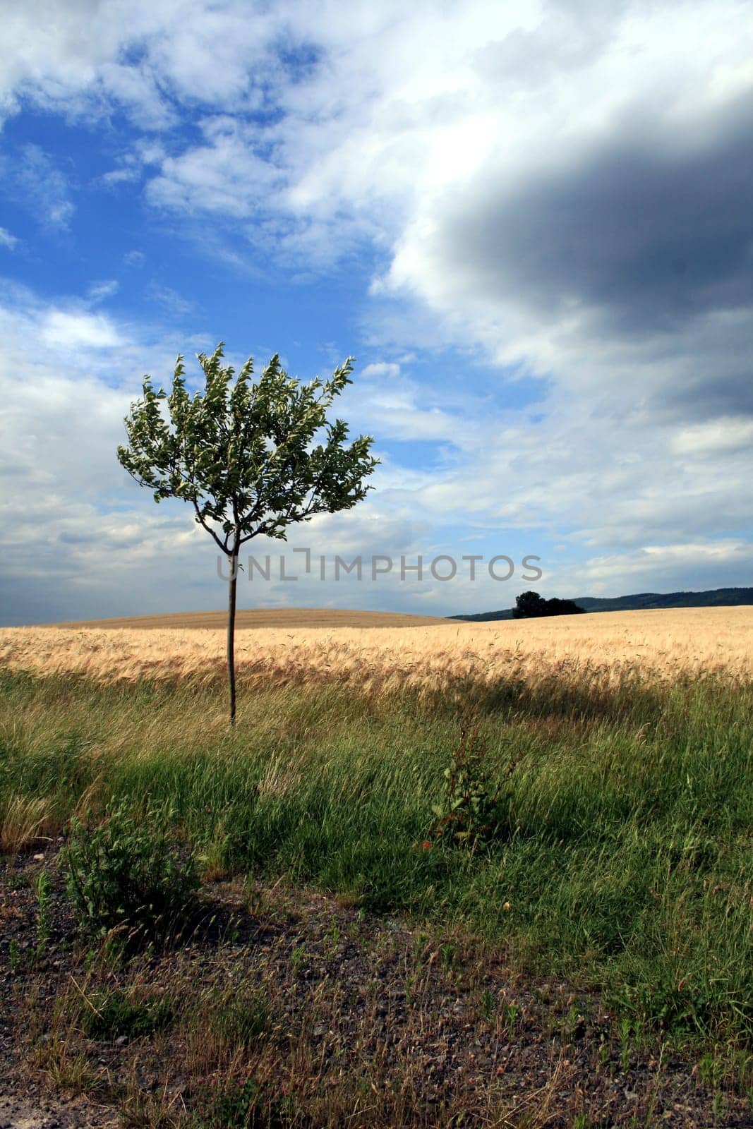 alone