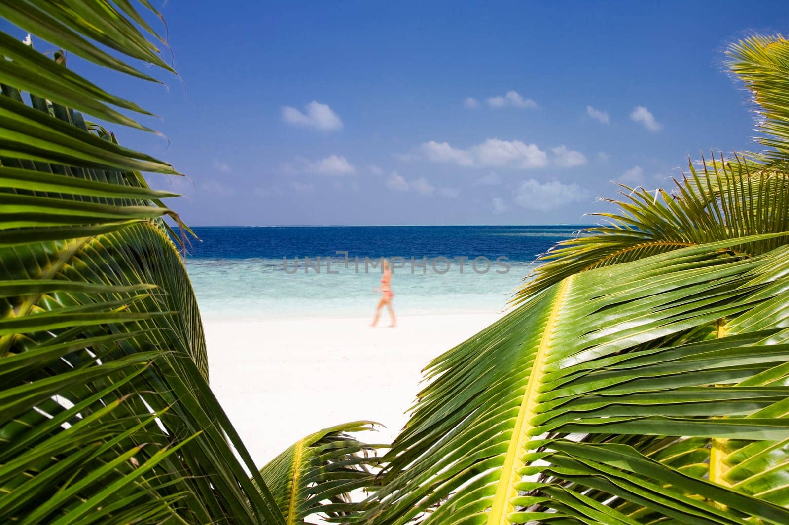 tropical beach