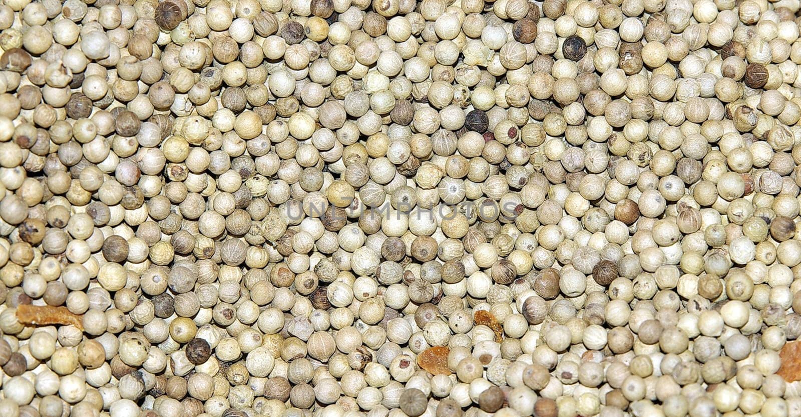 white peppercorns