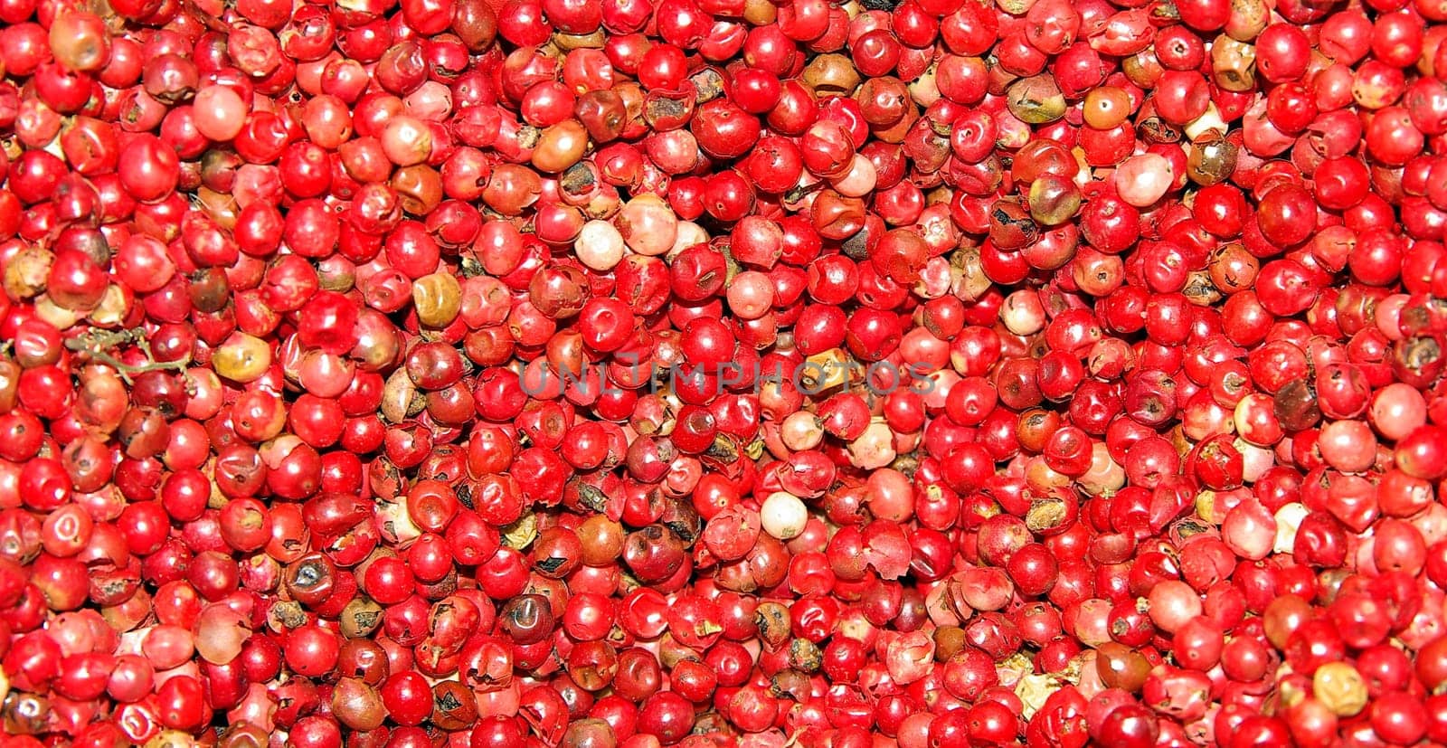 red peppercorns