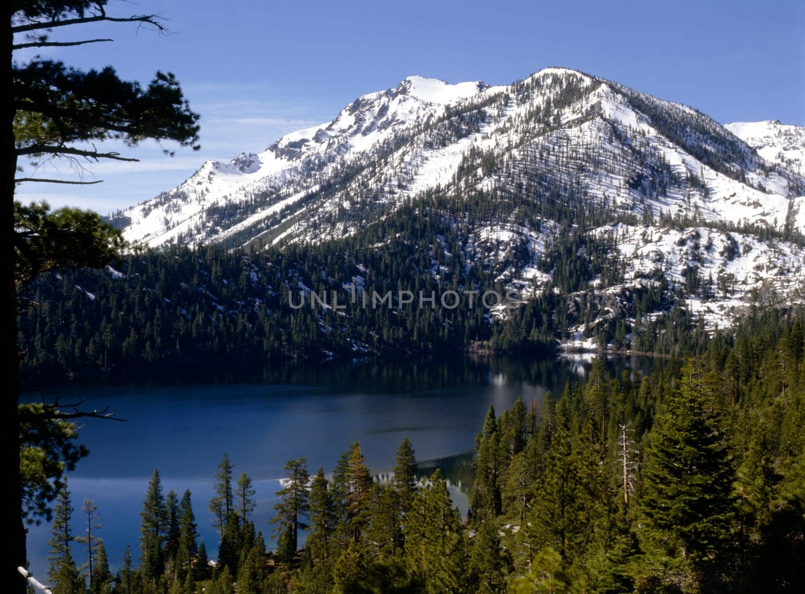 Fallen Leaf Lake