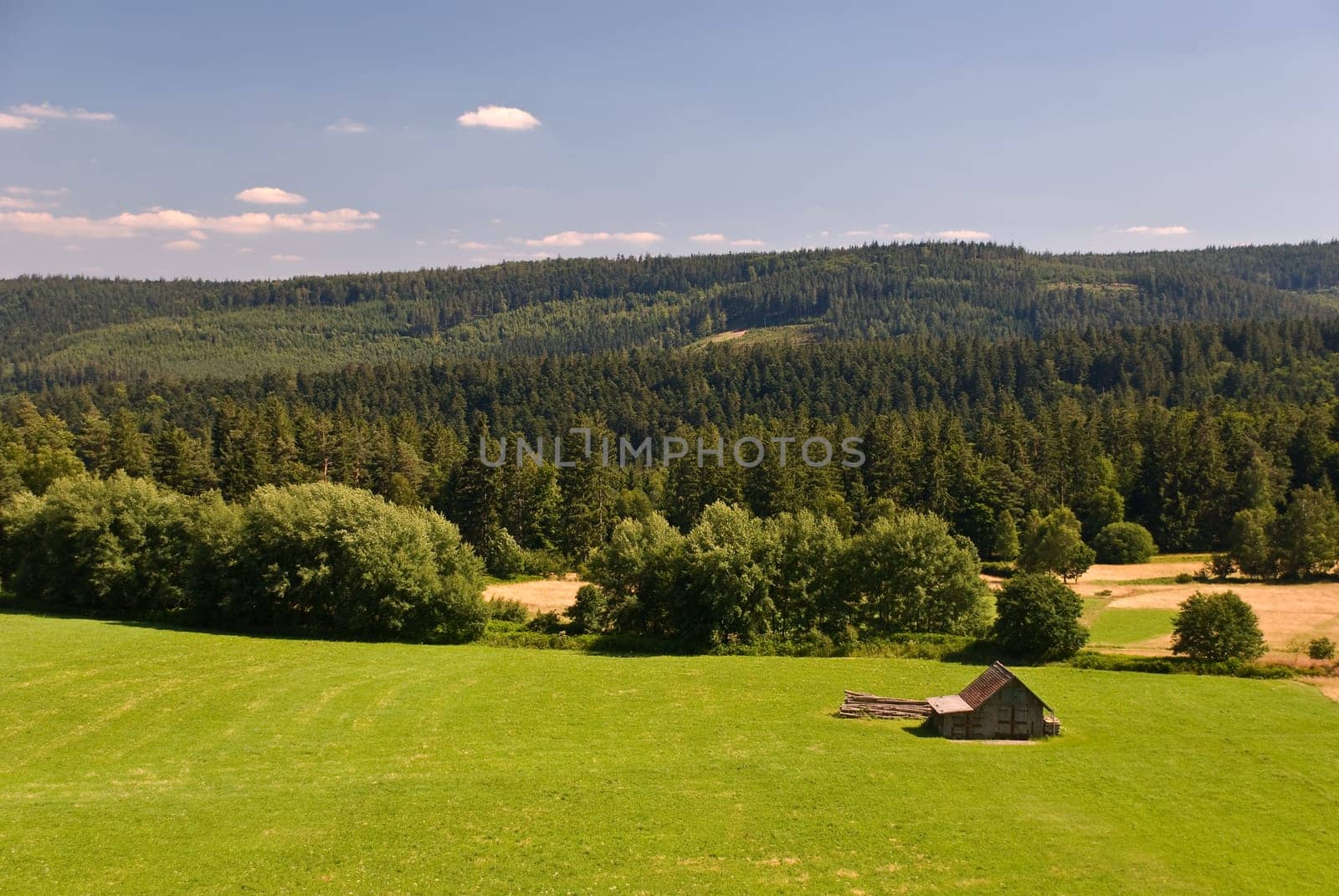 View of the valley,with forest house