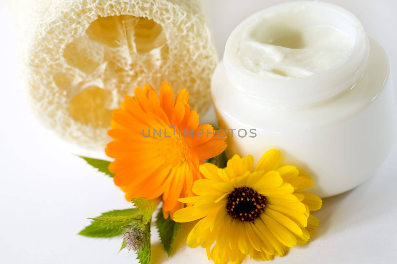 Cream pot