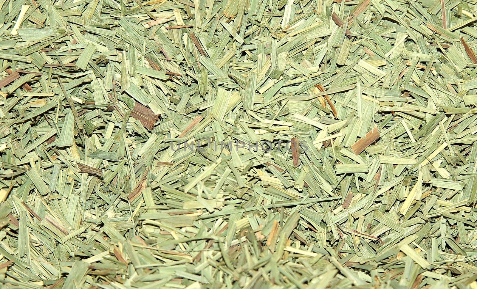 Lemon grass