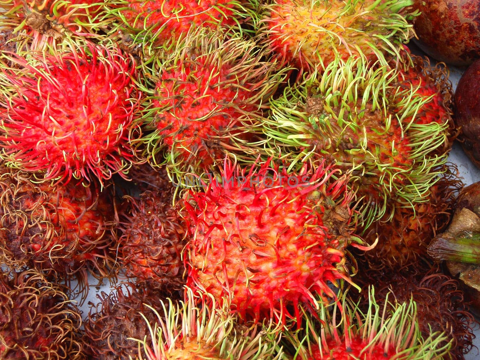 rambutan