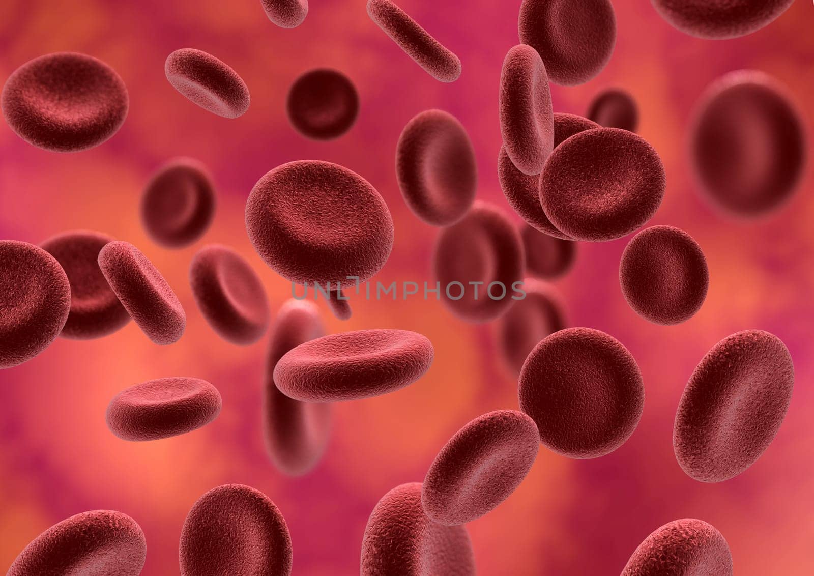 Blood