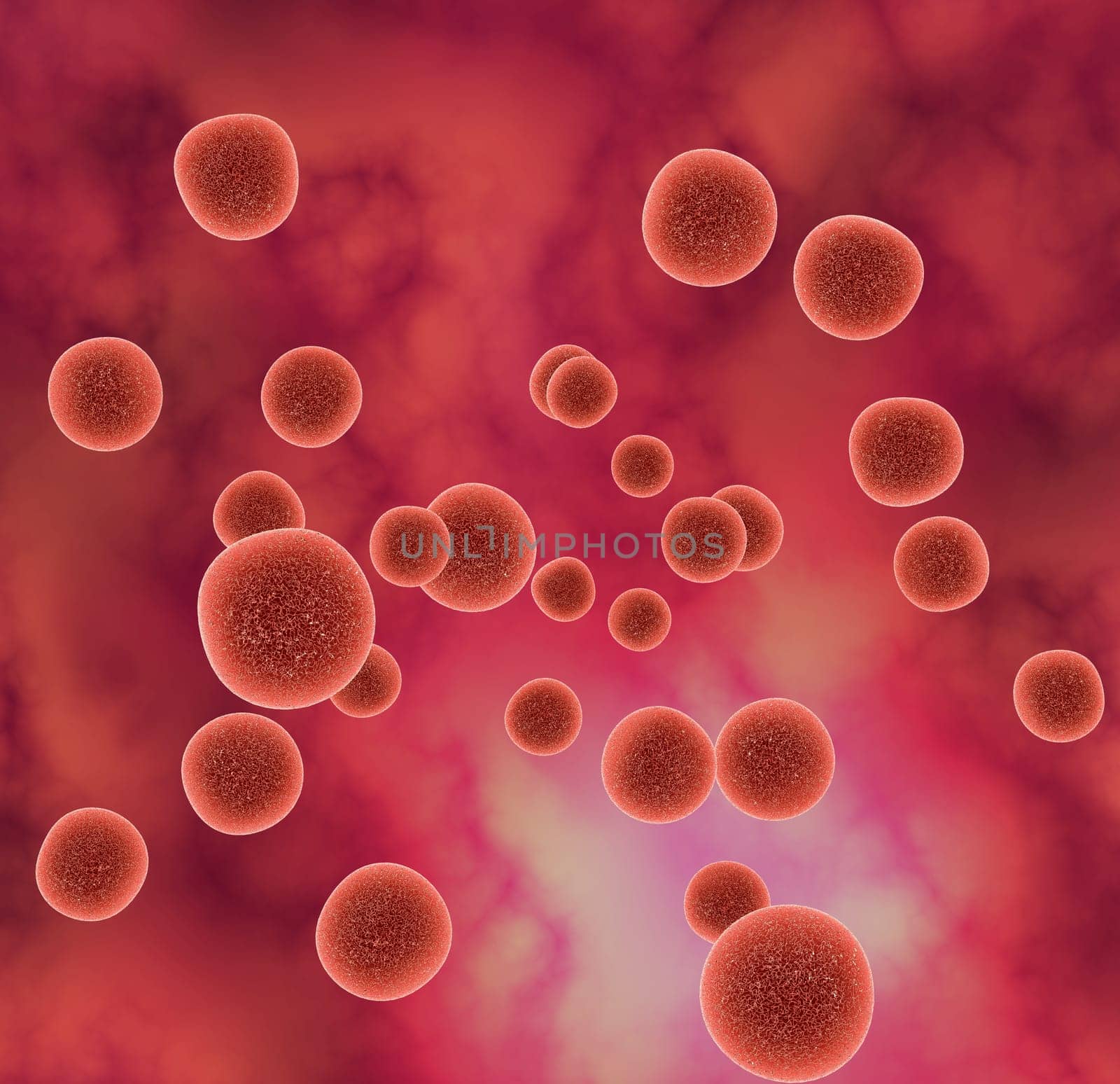 Virus