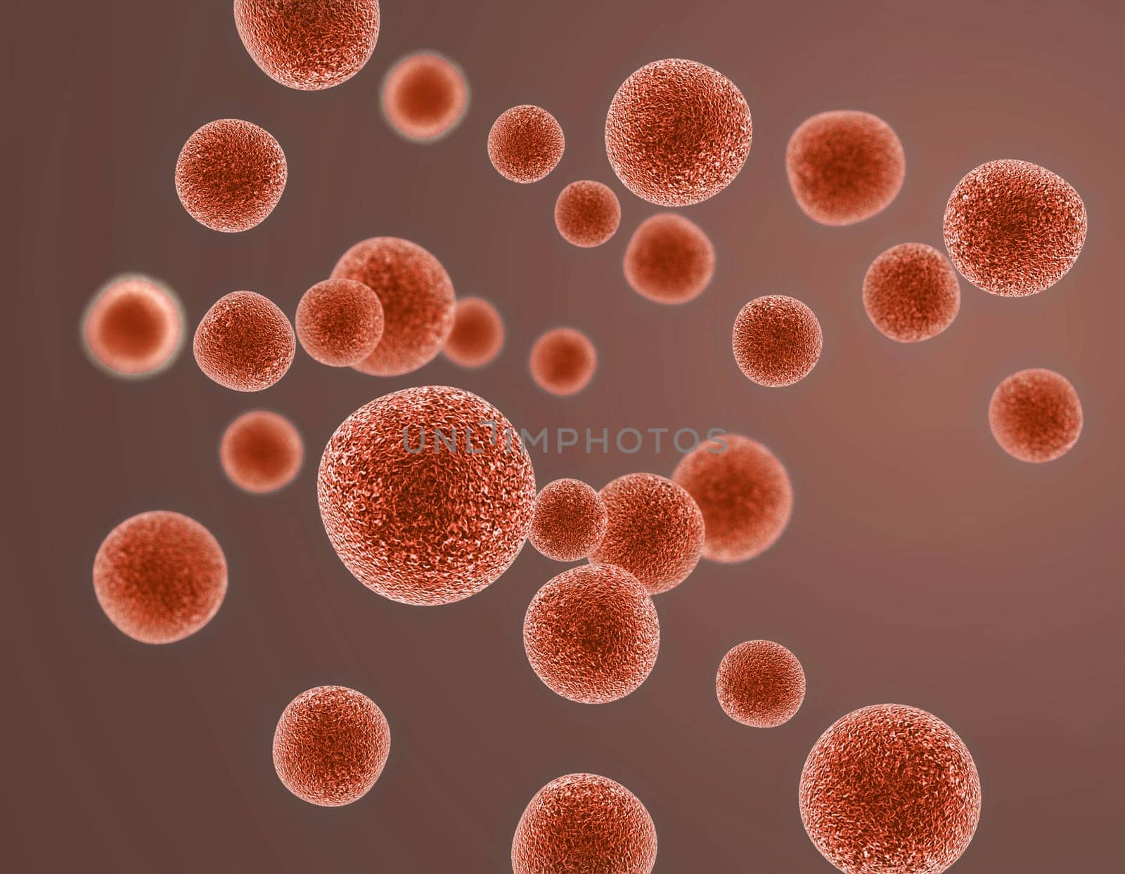 Virus