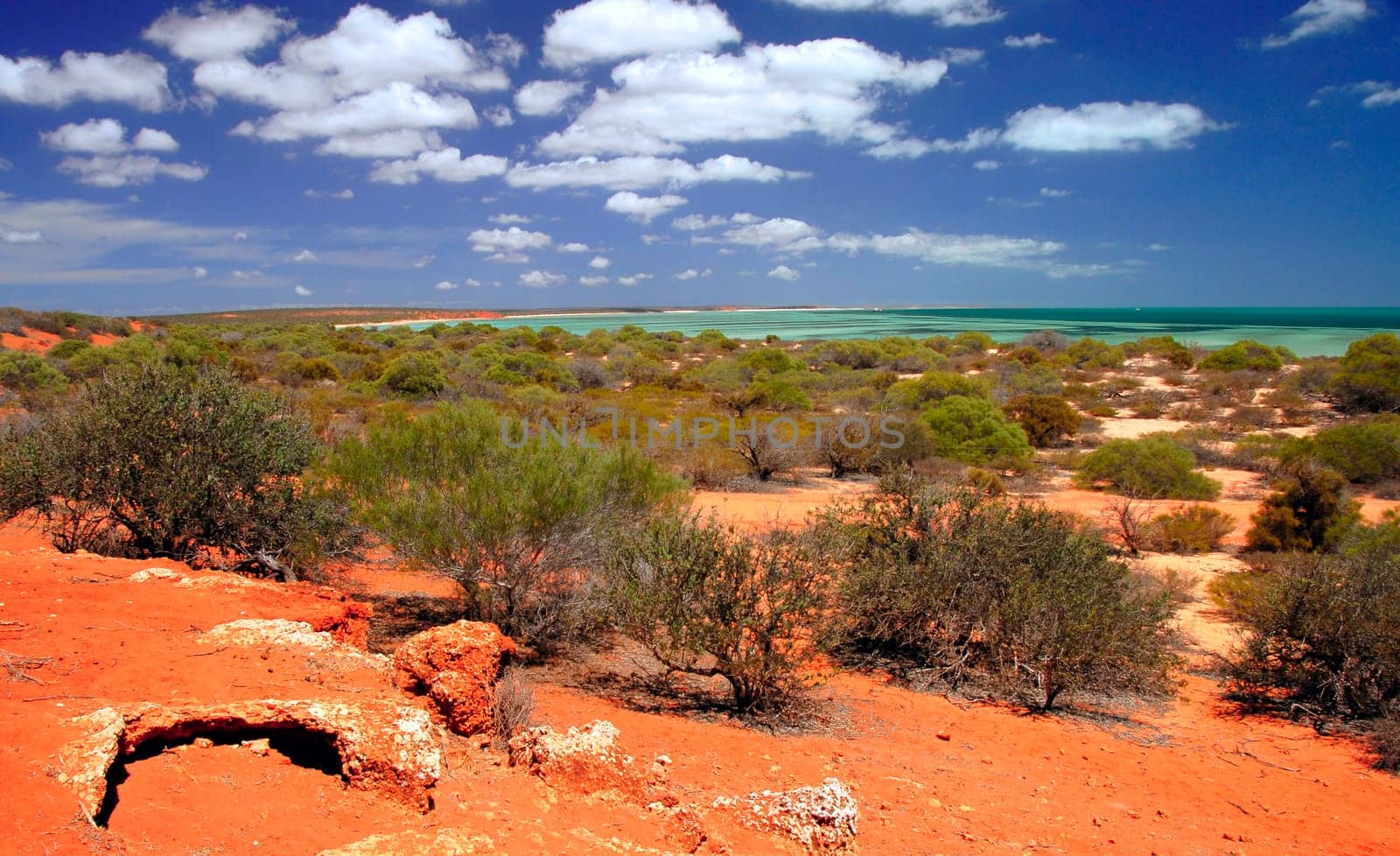 Big Lagoon